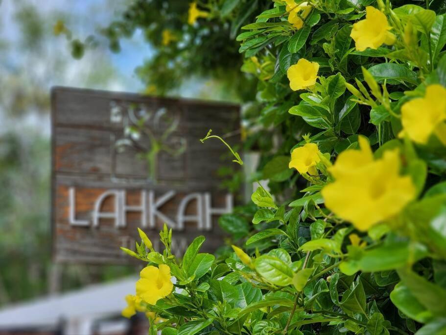 Amazing Jungle Retreat Lahkah Tulum 아파트 외부 사진