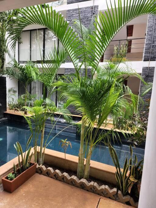 Amazing Jungle Retreat Lahkah Tulum 아파트 외부 사진