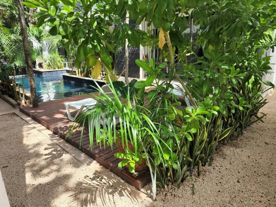 Amazing Jungle Retreat Lahkah Tulum 아파트 외부 사진
